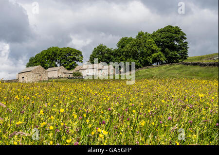 Hannahs Wiesen, Baldersdale, Teesdale, County Durham UK.  Sonntag, 3. Juli 2016. Großbritannien Wetter.  Es wurde einen windigen Tag mit sonnigen Abschnitten und die ungeraden Dusche in den North Pennines.  Diese traditionelle Mähwiesen stehen jetzt in voller Blüte und werden bald für Heu geschnitten werden.  Sie sind benannt nach Hannah Hauxwell TV-Dokumentation "viel zu lange einen Winter".  Sie lebte alleine hier und verwaltete das Land mit traditionellen Anbaumethoden. Die Wiesen werden nun von der Durham Wildlife Trust verwaltet. Bildnachweis: David Forster / Alamy Live News Stockfoto