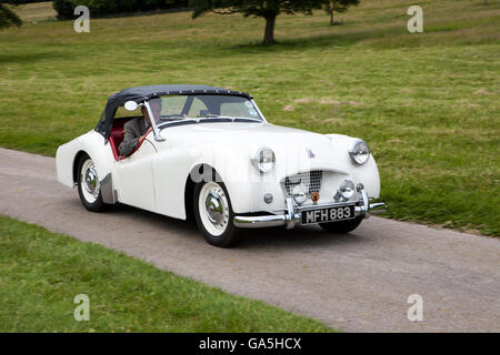 1954 50er Jahre White Triumph TR2 Cabriolet bei der Leighton Hall Classic Car Rally, Carnforth, Lancashire, Großbritannien. Juli 2016. Die jährliche Oldtimer-Rallye findet in der großartigen Leighton Hall in Carnforth in Lancashire statt. Britische klassische Sportwagen von MG's bis zu amerikanischen Muscle Cars wie die Dodge Vipers und Ford Mustangs. Die Zuschauerveranstaltung zog Tausende von Besuchern in diesen malerischen Teil des Landes an der Nordwestküste Englands. Stockfoto