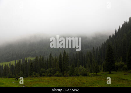 Qitai, Qitai, CHN. 1. Juli 2016. Qitai, China - 1. Juli 2016: (Nur zur redaktionellen Verwendung. CHINA aus) schöne Landschaft des Tianshan-Gebirges nach einem Regen. Tian Shan liegt im Norden und westlich von der Taklamakan-Wüste und direkt nördlich von Tarim-Becken im Grenzgebiet von Kasachstan, Kirgisistan und Nordwestchina. Im Süden verbindet es mit dem Pamir-Gebirge und Norden und Osten trifft es die Altai-Gebirge in der Mongolei. © SIPA Asien/ZUMA Draht/Alamy Live-Nachrichten Stockfoto