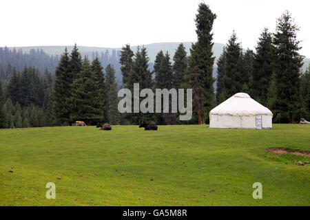 Qitai, Qitai, CHN. 1. Juli 2016. Qitai, China - 1. Juli 2016: (Nur zur redaktionellen Verwendung. CHINA aus) schöne Landschaft des Tianshan-Gebirges nach einem Regen. Tian Shan liegt im Norden und westlich von der Taklamakan-Wüste und direkt nördlich von Tarim-Becken im Grenzgebiet von Kasachstan, Kirgisistan und Nordwestchina. Im Süden verbindet es mit dem Pamir-Gebirge und Norden und Osten trifft es die Altai-Gebirge in der Mongolei. © SIPA Asien/ZUMA Draht/Alamy Live-Nachrichten Stockfoto