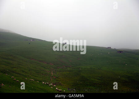 Qitai, Qitai, CHN. 1. Juli 2016. Qitai, China - 1. Juli 2016: (Nur zur redaktionellen Verwendung. CHINA aus) schöne Landschaft des Tianshan-Gebirges nach einem Regen. Tian Shan liegt im Norden und westlich von der Taklamakan-Wüste und direkt nördlich von Tarim-Becken im Grenzgebiet von Kasachstan, Kirgisistan und Nordwestchina. Im Süden verbindet es mit dem Pamir-Gebirge und Norden und Osten trifft es die Altai-Gebirge in der Mongolei. © SIPA Asien/ZUMA Draht/Alamy Live-Nachrichten Stockfoto