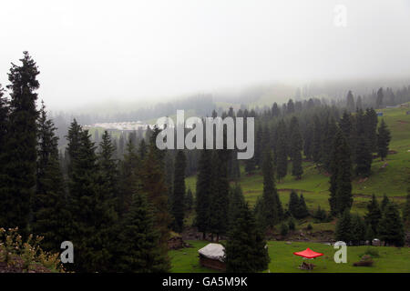 Qitai, Qitai, CHN. 1. Juli 2016. Qitai, China - 1. Juli 2016: (Nur zur redaktionellen Verwendung. CHINA aus) schöne Landschaft des Tianshan-Gebirges nach einem Regen. Tian Shan liegt im Norden und westlich von der Taklamakan-Wüste und direkt nördlich von Tarim-Becken im Grenzgebiet von Kasachstan, Kirgisistan und Nordwestchina. Im Süden verbindet es mit dem Pamir-Gebirge und Norden und Osten trifft es die Altai-Gebirge in der Mongolei. © SIPA Asien/ZUMA Draht/Alamy Live-Nachrichten Stockfoto