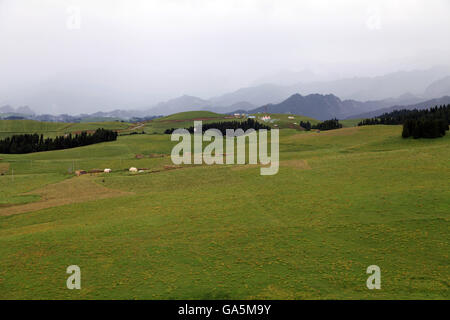 Qitai, Qitai, CHN. 1. Juli 2016. Qitai, China - 1. Juli 2016: (Nur zur redaktionellen Verwendung. CHINA aus) schöne Landschaft des Tianshan-Gebirges nach einem Regen. Tian Shan liegt im Norden und westlich von der Taklamakan-Wüste und direkt nördlich von Tarim-Becken im Grenzgebiet von Kasachstan, Kirgisistan und Nordwestchina. Im Süden verbindet es mit dem Pamir-Gebirge und Norden und Osten trifft es die Altai-Gebirge in der Mongolei. © SIPA Asien/ZUMA Draht/Alamy Live-Nachrichten Stockfoto