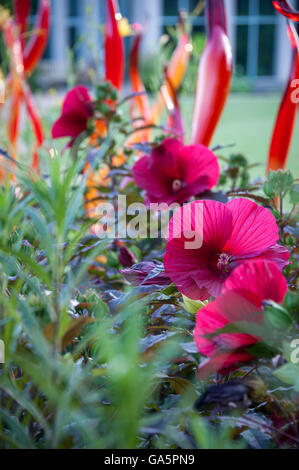 Bunte Blumen und Glas Skulptur auf dem Display im Atlanta Botanical Garden in Atlanta, Georgia, USA. Stockfoto