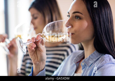 Junge Frau trinkt Wein mit Freunden Stockfoto