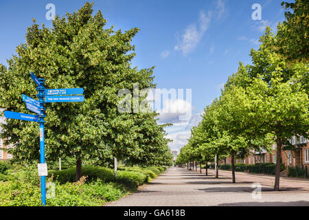 27. Juni 2016: Cardiff, Wales - Lloyd George Avenue, Cardiff, Wales, UK Stockfoto