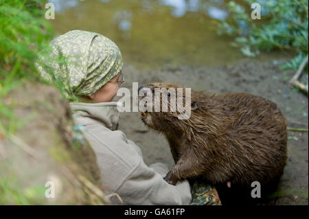 Frau AndEuropean Biber, Rosenheim, Bayern, Deutschland, Europa / (Castor Fiber) Stockfoto