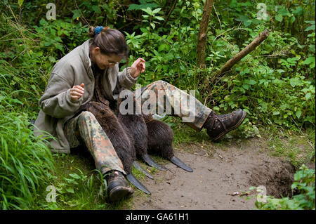 Frau AndEuropean Biber, Rosenheim, Bayern, Deutschland, Europa / (Castor Fiber) Stockfoto