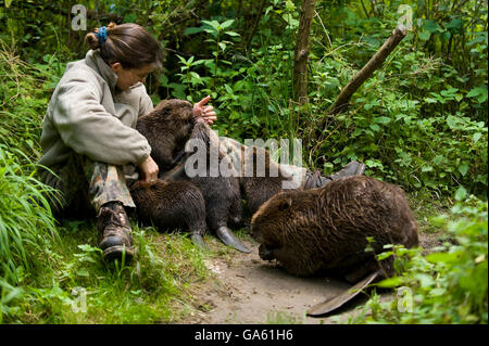 Frau AndEuropean Biber, Rosenheim, Bayern, Deutschland, Europa / (Castor Fiber) Stockfoto