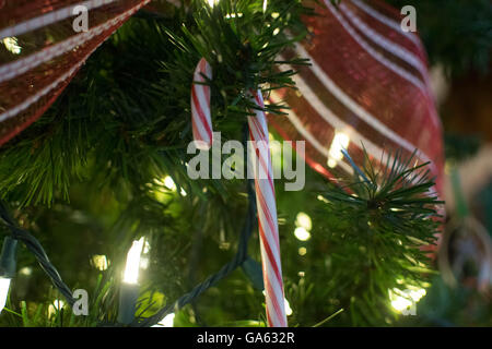 Zuckerstange am Weihnachtsbaum Stockfoto