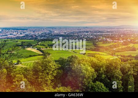 Vienna-Weinberge und die Vienna Stadtbild Panorama. Schönen Sommer Sonnenuntergang in Wien, Österreich, Europa. Stockfoto