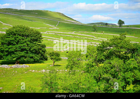 Blick vom in der Nähe von Kalkstein Pflaster über Malham Cove, Yorkshire Dales National Park, in der Nähe von Settle, West Yorkshire Stockfoto