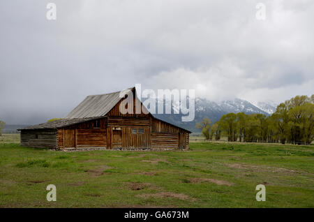 Historischen Mormone Zeile, Grand Teton National Park, Jackson Hole Valley, Wyoming, USA Stockfoto