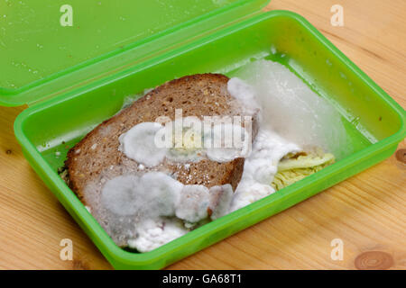 Verschimmelte Brot in Lunchbox, Schimmel an Lebensmittel, Upper Bavaria, Bavaria, Germany Stockfoto