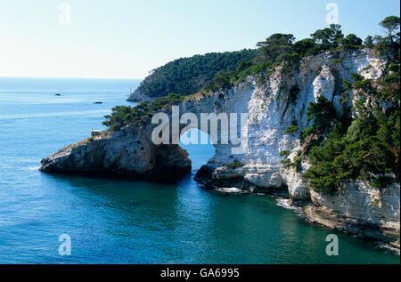 Küste in der Nähe von Vieste, rufen di San Felice, Gargano, Apulien, Apulien, Italien, Europa Stockfoto
