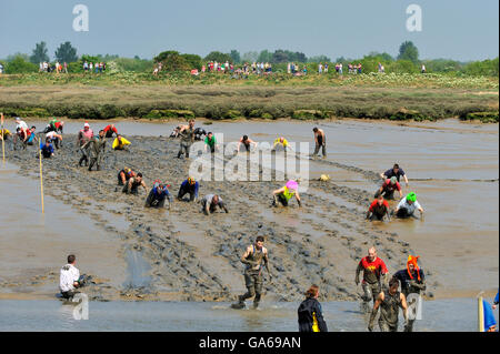 Die 2011 Maldon Mud Race bei Maldon in Essex Küste, England, Vereinigtes Königreich, Europa Stockfoto