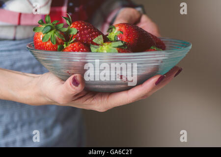 Schale mit Erdbeeren in den Händen einer Frau mit Schürze Stockfoto