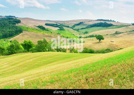 Sanften Hügellandschaft der Toskana, Italien. Stockfoto