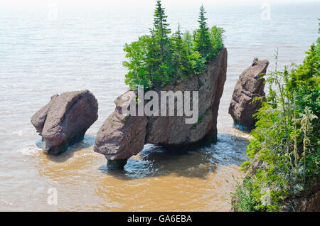 Hopewell Rocks bei Flut, New Brunswick, Kanada Stockfoto