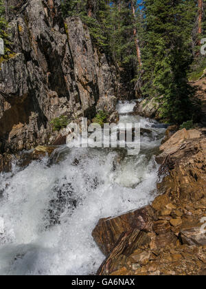 Missouri Creek, Missouri Seenweg, White River National Forest, Heilig Kreuz Wildnis, Colorado. Stockfoto