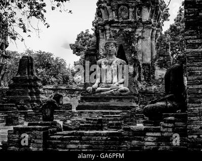 Wat Mahathat Tempelruinen in Ayutthaya Thailand Stockfoto