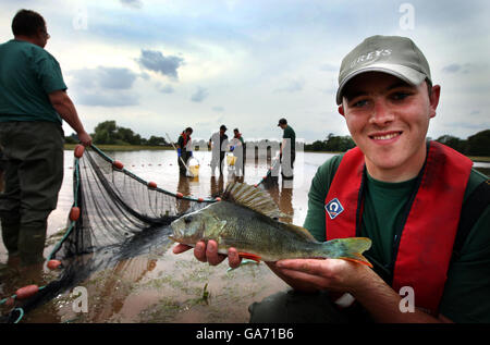 Fisch aus dem Fluss gerettet Stockfoto