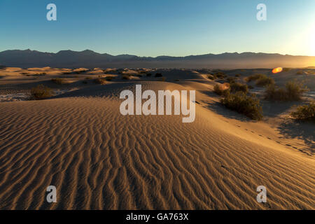 Mesquite Sanddünen im Death Valley National Park, Kalifornien, USA Stockfoto