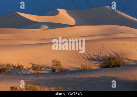 Mesquite Sanddünen im Death Valley Nationalpark, Kalifornien, USA Stockfoto