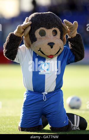 Fußball - freundlich - Hartlepool United gegen Newcastle United - Victoria Park Stockfoto