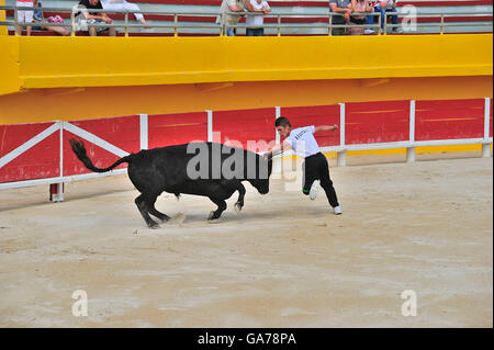 Stierkampf-Arena, Saintes Maries de la Mer, La Camargue, Provence, Frankreich, Europa Stockfoto