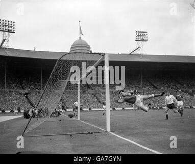 Fußball - FA-Cup - Finale - Tottenham Hotspur gegen Leicester City - Wembley-Stadion Stockfoto