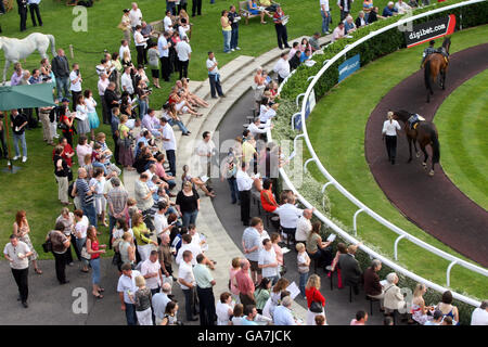 Allgemeiner Blick auf den Paradering während der irischen Nachtfeiern auf der Rennbahn Kempton Park. Stockfoto