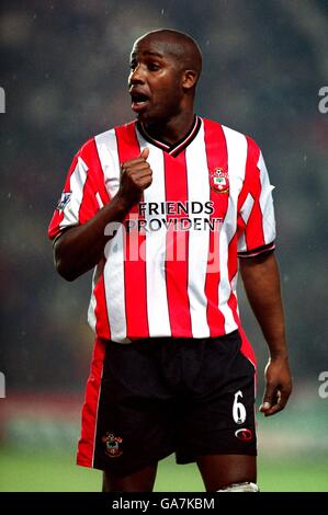 Fußball - FA Barclaycard Premiership - Southampton / Liverpool. Paul Williams, Southampton Stockfoto