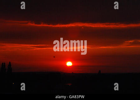 Horse Racing - PFA & Elmbridge Nacht - Sandown Park Stockfoto