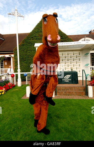 Horse Racing - PFA & Elmbridge Nacht - Sandown Park Stockfoto