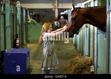 Kate Green, 10, aus Sandymount in Dublin, wird auf der Failte Ireland Dublin Horse Show 2007 auf dem Gelände der Royal Dublin Society (RDS), Dublin, Irland, in den Ställen gesehen. Stockfoto