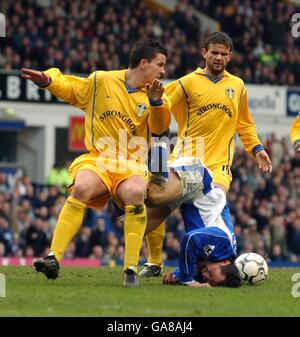 Fußball - FA Barclaycard Premiership - Everton V Leeds United Stockfoto