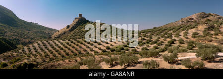 Panoramablick, Schloss aus dem Viboras und Olivenbäumen, Martos, Provinz Jaen, Region von Andalusien, Spanien, Europa Stockfoto