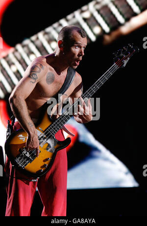 REDAKTIONELLE VERWENDUNG / : Flea of the Red Hot Chili Peppers auf der Hauptbühne beim Carling Reading Festival 2007 in Reading, Berkshire. Stockfoto