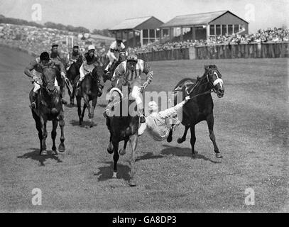 Lester Piggott (r) versucht verzweifelt, sich an seinem Pferd, dem Barbary Pirate, zu hängen, als er auf der letzten Geraden abgesetzt wird. Stockfoto