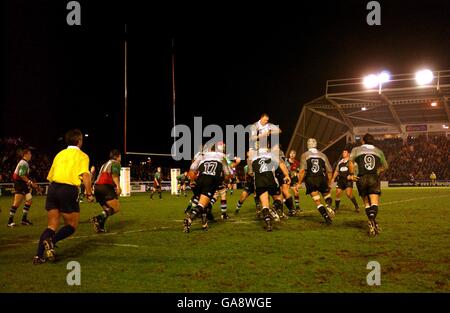 Rugby-Union - Springbok Bar Challenge - NEC Harlequins V Natal Sharks Stockfoto