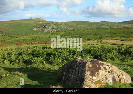 Blick vom Hound Tor über Houndtor nach unten und Holwell Rasen in Richtung Haytor Rocks und Sattel Tor, Dartmoor, Devon, England, UK Stockfoto