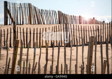 Sandfang, Fechten, Sandhaven Strand, South Shields, South Tyneside Stockfoto