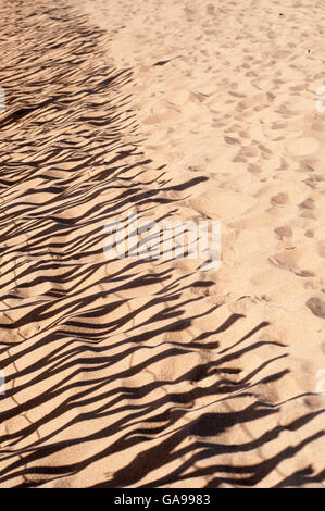 Schatten der Sandfang Fechten, Sandhaven Strand, South Shields, South Tyneside Stockfoto