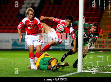 Fußball - Coca-Cola Football League Championship - Charlton Athletic gegen Norwich City - The Valley Stockfoto