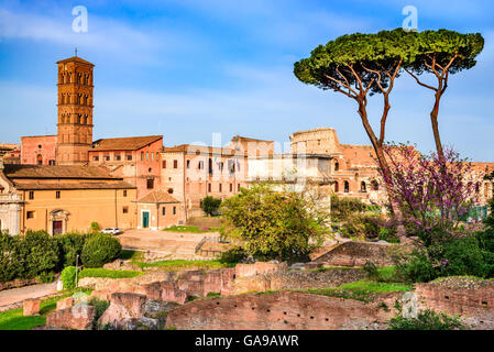 Rom, Italien. Atemberaubende Landschaft mit Ruinen des Forum Romanum und Kolosseum, Flavian Amphiteatre. Stockfoto