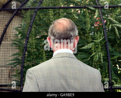 Der Prinz von Wales inspiziert die Cannabispflanzen im Giftgarten von Alnwick Castle heute in Northumberland. Stockfoto