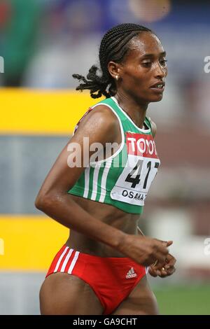 Leichtathletik - IAAF World Athletics Championships - Osaka 2007 - Nagai-Stadion Stockfoto