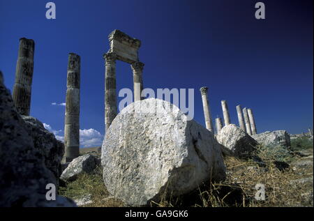 die Ruinen von Apameia nahe der Stadt von Hama in Syrien im Nahen Osten Stockfoto