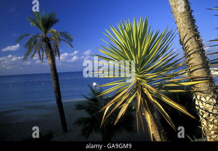 ein Strand in der Stadt Latakia am Mittelmeer in Syrien im Nahen Osten Stockfoto